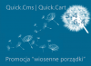 promocja_wiosenna_1.png
